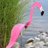 Florida Dancing Birds®, Flamingos  |   Decorative Garden Stakes Decorative Garden Stakes Decorative Garden Stakes