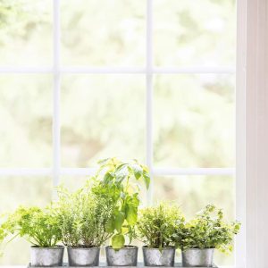 Galvanized Herb Planters with Rectangular Tray  |   Indoor Pots and Planters INDOOR GARDEN Indoor Pots & Planters