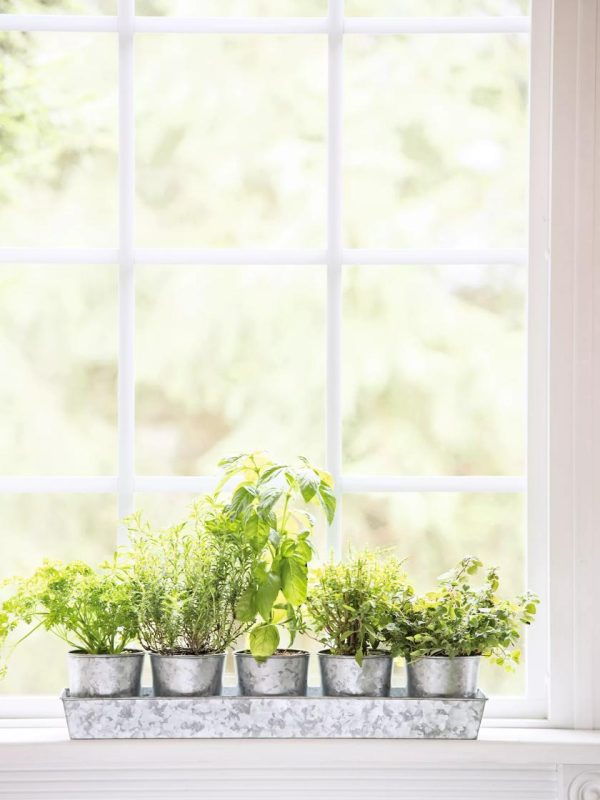 Galvanized Herb Planters with Rectangular Tray  |   Indoor Pots and Planters INDOOR GARDEN Indoor Pots & Planters