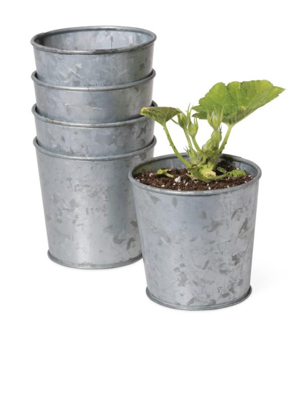 Galvanized Planting Cups, Set of 5  |   Indoor Pots and Planters INDOOR GARDEN Indoor Pots & Planters