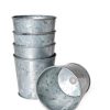 Galvanized Planting Cups, Set of 5  |   Indoor Pots and Planters INDOOR GARDEN Indoor Pots & Planters