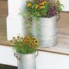 Galvanized Rim Planters  |   Indoor Pots and Planters INDOOR GARDEN Indoor Pots & Planters