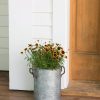 Galvanized Rim Planters  |   Indoor Pots and Planters INDOOR GARDEN Indoor Pots & Planters