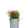 Galvanized Rim Planters  |   Indoor Pots and Planters INDOOR GARDEN Indoor Pots & Planters