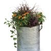 Galvanized Rim Planters  |   Indoor Pots and Planters INDOOR GARDEN Indoor Pots & Planters