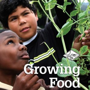 Growing Food (LiFE 1)  |   Books Books Books