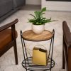 Hairpin Plant Stand with Shelf  |   Plant Stands INDOOR GARDEN Plant Stands