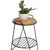 Hairpin Plant Stand with Shelf  |   Plant Stands INDOOR GARDEN Plant Stands