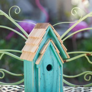 Heartwood Bluebird Brights Bird House  |   Bird Houses Bird Houses Bird Houses