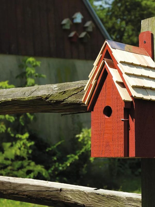 Heartwood Bluebird Manor Bird House  |   Bird Houses Bird Houses Bird Houses