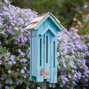 Heartwood Flutter Flat Butterfly House  |   Wildlife Shelters Wildlife Shelters Wildlife Shelters