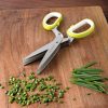 Herb Scissors  |   Herb Tools HOME & KITCHEN Herb Tools