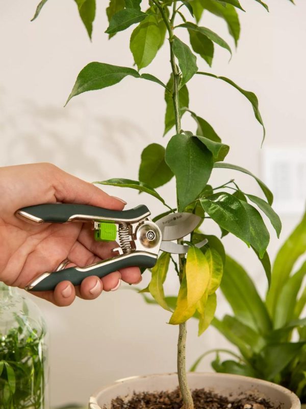 Houseplant Pruner  |   Watering Cans & Tools INDOOR GARDEN Watering Cans & Tools