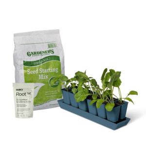 Imio Cloning Kit, Large  |   Soils & Fertilizers for Seeds INDOOR GARDEN Soils & Fertilizers for Seeds