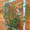 Ina Modern Wall Trellis Jr.  |   Trellises & Obelisks Trellises & Obelisks Trellises & Obelisks