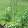 Jardin Pot Trellis  |   Trellises & Obelisks Trellises & Obelisks Trellises & Obelisks