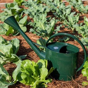 Long Reach Watering Can, Large  |   Watering Cans & Tools INDOOR GARDEN Watering Cans & Tools