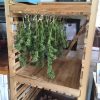 Orchard Rack, 9 Drawer  |   Harvest Storage Harvest Storage Harvest Storage