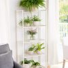 Oslo 4-Tier Plant Stand with Folding Shelves  |   Plant Stands INDOOR GARDEN Plant Stands