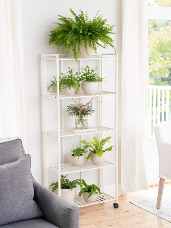 Oslo 4-Tier Plant Stand with Folding Shelves  |   Plant Stands INDOOR GARDEN Plant Stands