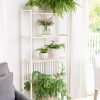 Oslo 4-Tier Plant Stand with Folding Shelves  |   Plant Stands INDOOR GARDEN Plant Stands