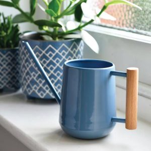 Pinpoint Indoor Watering Can  |   Watering Cans & Tools INDOOR GARDEN Watering Cans & Tools