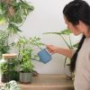 Pinpoint Indoor Watering Can  |   Watering Cans & Tools INDOOR GARDEN Watering Cans & Tools