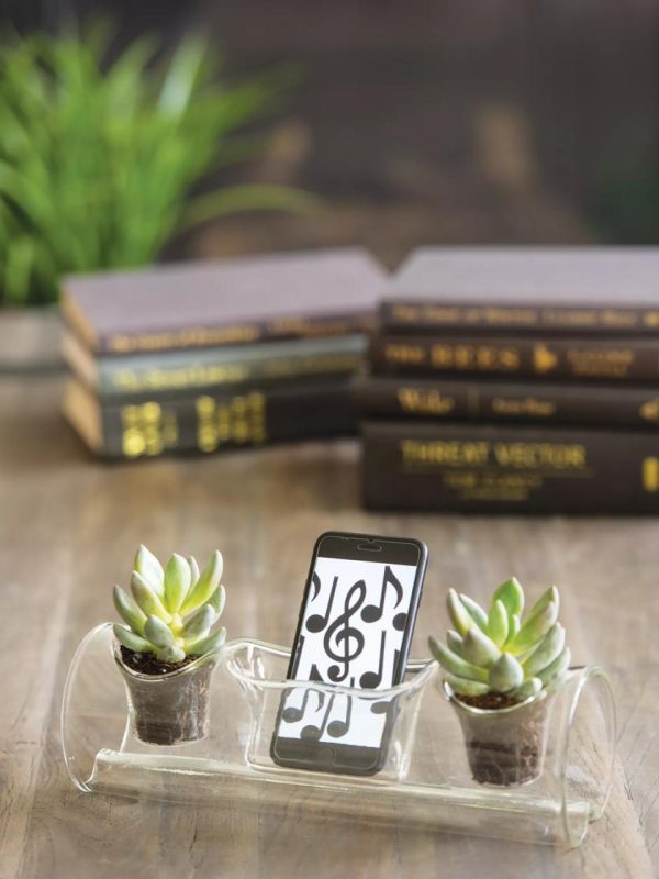 Plant AMP  |   Houseplant Accessories Houseplant Accessories Houseplant Accessories