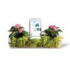 Plant AMP  |   Houseplant Accessories Houseplant Accessories Houseplant Accessories