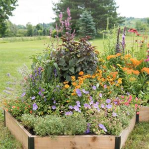 Pollinator Cedar Garden Bed  |   Wildlife Shelters Wildlife Shelters Wildlife Shelters