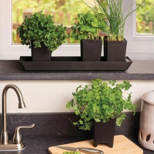 Pop-Out Pots, Set of 4  |   Indoor Pots and Planters INDOOR GARDEN Indoor Pots & Planters