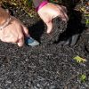 Recycled Rubber Walkway  |   Edgings & Mulches Edgings & Mulches