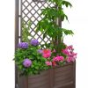 Separate Flower Box With Trellis  |   Indoor Pots and Planters INDOOR GARDEN Indoor Pots & Planters