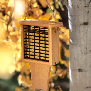 Spruce Creek Tail Prop Suet Feeder  |   Bird Feeders Bird Feeders Bird Feeders