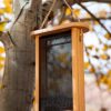 Spruce Creek Tall Finch Feeder  |   Bird Feeders Bird Feeders Bird Feeders