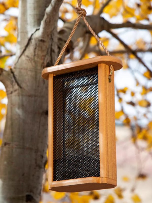 Spruce Creek Tall Finch Feeder  |   Bird Feeders Bird Feeders Bird Feeders