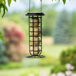 Suet Ball & Feeder Combo Set  |   Bird Feeders Bird Feeders Bird Feeders