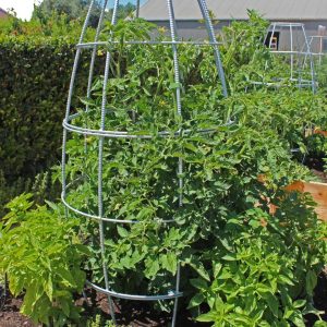 Toki Bubble Trellis  |   Trellises & Obelisks Trellises & Obelisks Trellises & Obelisks