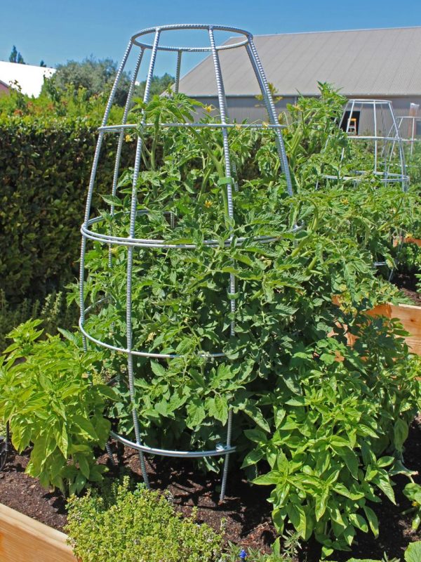 Toki Bubble Trellis  |   Trellises & Obelisks Trellises & Obelisks Trellises & Obelisks