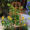 Toki Bubble Trellis  |   Trellises & Obelisks Trellises & Obelisks Trellises & Obelisks