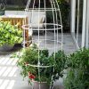 Toki Bubble Trellis  |   Trellises & Obelisks Trellises & Obelisks Trellises & Obelisks