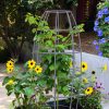 Toki Bubble Trellis  |   Trellises & Obelisks Trellises & Obelisks Trellises & Obelisks