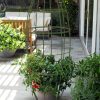 Toki Bubble Trellis  |   Trellises & Obelisks Trellises & Obelisks Trellises & Obelisks