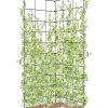 Two Panel Folding Trellis  |   Trellises & Obelisks Trellises & Obelisks Trellises & Obelisks