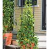 Vine Trellis for Gardener’s Victory Self-Watering Planter with Support System  |   Trellises & Obelisks Trellises & Obelisks Trellises & Obelisks