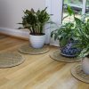 WaterHog Squares Plant Mats  |   Indoor/Outdoor Rugs & Mats HOME & KITCHEN Indoor/Outdoor Rugs & Mats