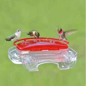 Window Hummingbird Feeder  |   Bird Feeders Bird Feeders Bird Feeders