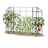 Zenith Trellis  |   Trellises & Obelisks Trellises & Obelisks Trellises & Obelisks