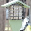 Birds Choice™ Tail Prop Feeder  |   Bird Feeders Bird Feeders Bird Feeders