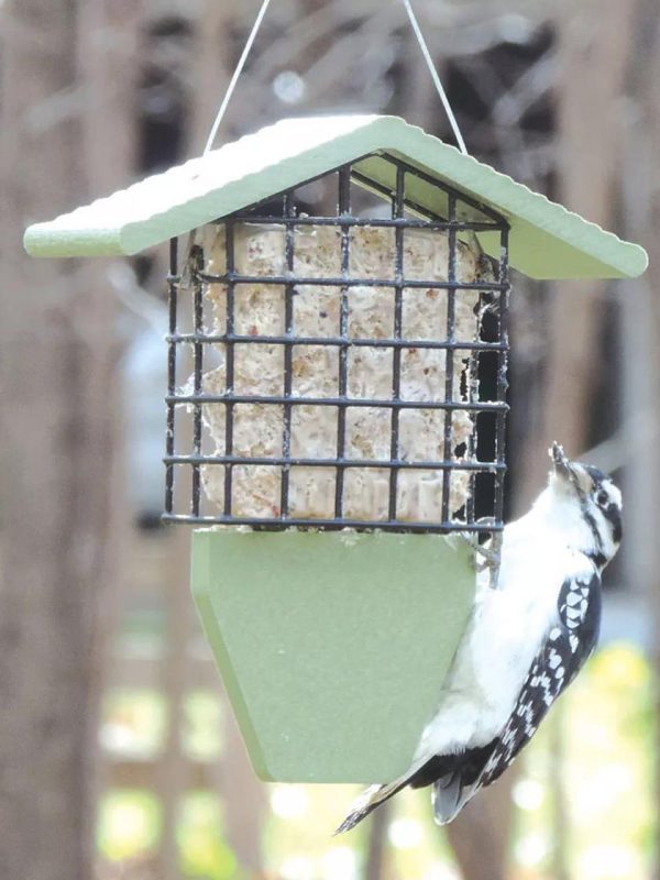 Birds Choice™ Tail Prop Feeder  |   Bird Feeders Bird Feeders Bird Feeders